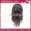 Hot New Products For 2015 Remi Hair Front Lace Wig