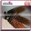 hot selling wholesale price ombre human hair extension grade 5a 6a 7a 8a pure indian remy virgin human hair weft