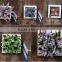 2016 new products ceramic square decorative garden wall flower pot                        
                                                                                Supplier's Choice