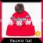 Knitted winter hand embroidery custom beanie hat