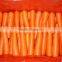 2013 Carrot With Best Price