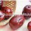 Red Jujube, Dried Chinese date, Red dates