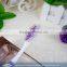 FDA 100% silicone soft bristle cheapest toothbrush