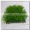 Plastic Grass Material Artificial Boxwood Mat Milan Grass Mat for Wall Decoration