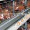 egg collection system for poultry farm cages