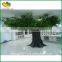 Wholesale artificial big tree fiberglass artificial ficus tree large outdoor & outdoor decor artificial ficus tree