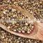 Hulled HEMP SEEDS for birds,export