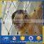 Stainless steel knotted aviary netting, poultry netting