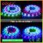 factory price waterproof RGB 5050 Chasing color led strip12vdc led light strip
