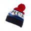 High Quality unisex Custom wholesale pom pom Knitted Beanie Winter Hat