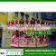 Playground hot sale theme park electrical carousel music rides for kids!