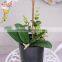 Zhejiang Factory home decoration artificial flower making artificial fabric plant flower wholesale