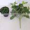 ARTIFICIAL BONSAI TREES FOR SALE