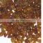 BEST SUPPLIER SULTANA RAISIN FROM INDIA