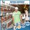 Folding Design Automatic Chicken Layer Cage for Poultry Farm