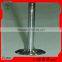 Deutz Exhaust Valve For FL913