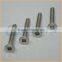 China Factory sales titanium furniture screw