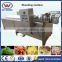 Hot sale factory price advanced design vegetable and fruit blanching machine