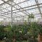 Commerical Multi-Span Greenhouse for agriculture with UV