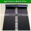 high quality agricultural black polyethylene plastic mulch film for strawberry