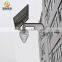 Apple shade solar power Led street light with factory price