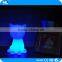 LED magic flashing light pet / fancy LED illuminated cat light