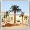 7ft-15ft artificial inflatable palm tree plastic date palm trees prices for sale