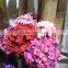plastic artificial flowers artificial hydrangea flower