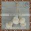 Natural handmade sola wood flower diffuser