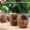 Natural fermented single clove black garlic preventing blood sugar