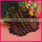 Latest fashion black lace clothing WLC-128