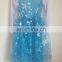 Hot sale elsa frozen dress