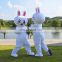 Cheap adult Cony Rabbit and Brown Bear mascot costume for sale