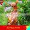 Artificial Fiberglass Outdoor Playground Giraffe Statue