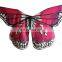 Best Dance Belly dance fancy wings butterfly wings dress up party Hand made Halloween dress up wings