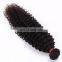2016 New product factory price kinky curly shedding and tangle free burma virgin hair bundles