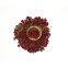 Best Dark Red Kidney Bean