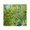 Wholesale of quality cedar essential oils