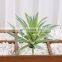 Production of Flocking Succulent Plant Simulation Flower Head Flower Accessories Fake Succulent Plastic Flower Decorative Plant