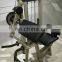 2020 Wholesale Commercial Design Body Building Weight Gym Equipment Machine Biceps and Triceps Curl