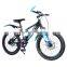 Best Selling Kids Bicycle 20 Inch Cycle