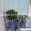 Modern White Leaf Pattern Style Ceramic Planters Garden Flower Pot Indoor and Outdoor Plant Containers