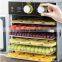 6 layer Mini commercial small scale pineapple tomato potato mango vegetable fruit electric food dehydrator price
