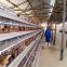 Chicken battery cage in layer poultry farm