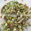 Yang gan ju Manufacturer Wholesale natural dry organic chamomile flower