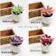 Top Fashion China Wholesale Small Size Artificial Plants With White Pot Gifts Potted Succulents For Desk Decoration