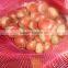 2015 new harvest Chinese fresh chestnut hot sale