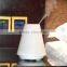 New design 2015 pure mist perfumes aroma diffuser supplier DT-1508A-34