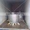 Prepainted Galvanized Steel Coil(TJINDUSTRAIL1504010001-GI-Z80-275)
