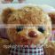 Custom grey teddy bear plush toy with dress